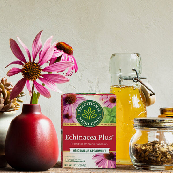 Traditional-Medicinals_Echinacea-Plus-Tea_Tee2